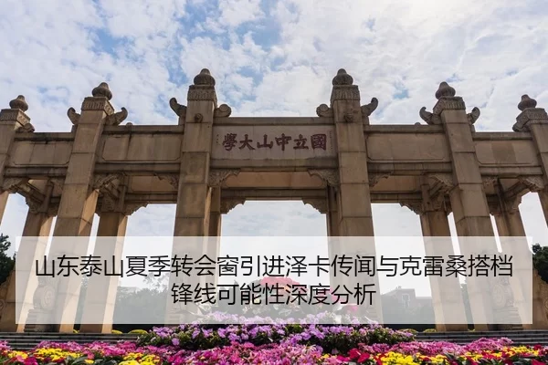 山东泰山夏季转会窗引进泽卡传闻与克雷桑搭档锋线可能性深度分析