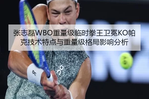 张志磊WBO重量级临时拳王卫冕KO帕克技术特点与重量级格局影响分析